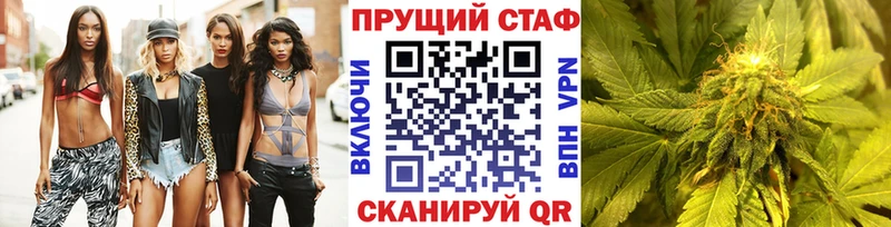 Где купить Болгар КОКАИН Псилоцибиновые грибы Каннабис Альфа ПВП
