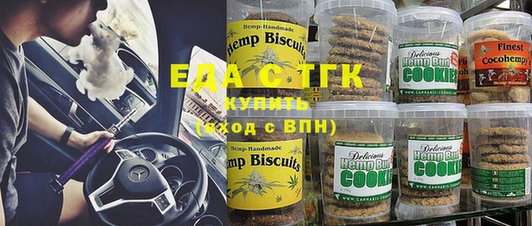 стаф Алзамай
