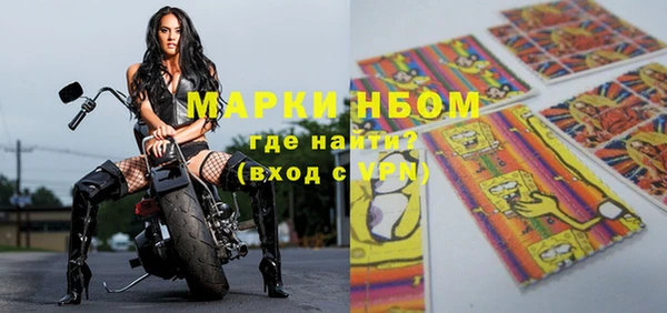 стаф Алзамай