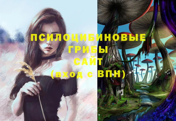 стаф Алзамай