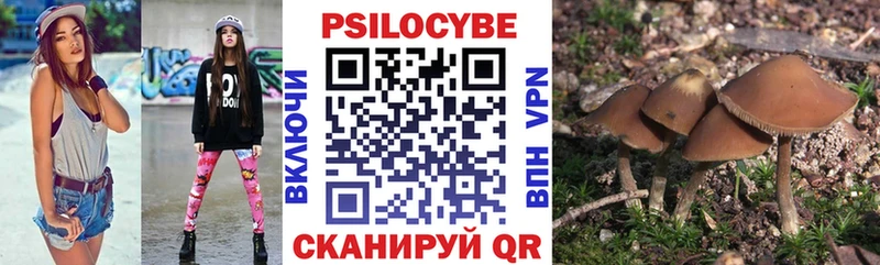 купить  цена  Болгар  Галлюциногенные грибы прущие грибы 